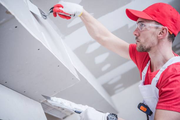 Best Drywall Removal and Disposal  in Bolinas, CA